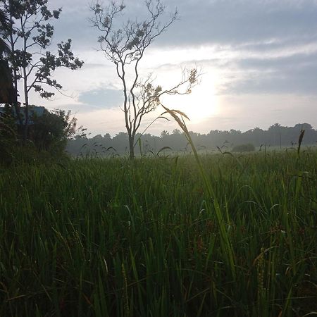 Villa Sigiriya Paddy Field Hut Zimmer foto