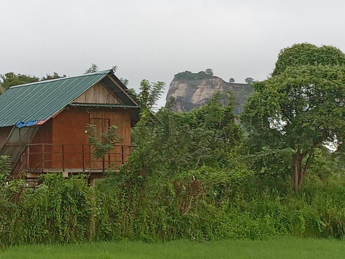 Villa Sigiriya Paddy Field Hut Exterior foto