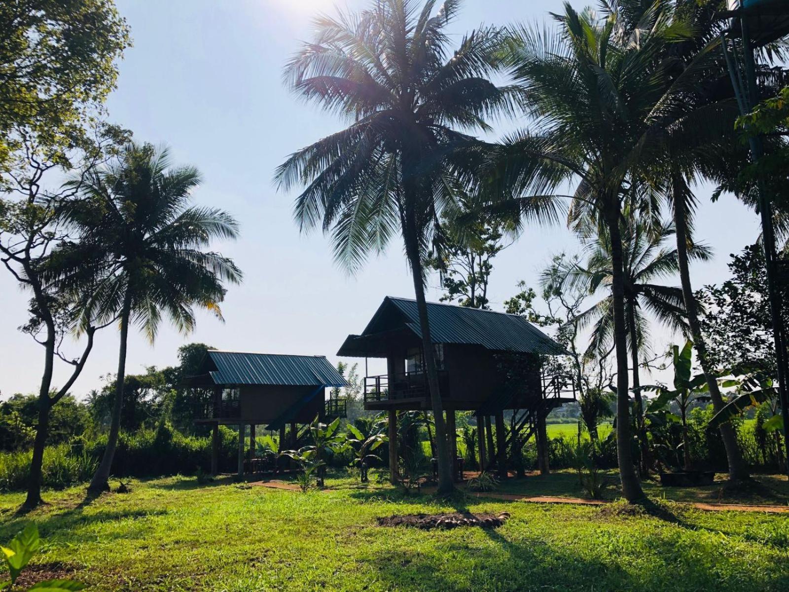 Villa Sigiriya Paddy Field Hut Zimmer foto